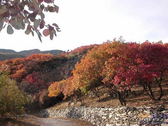 滇池湖畔的昆明西山森林公园