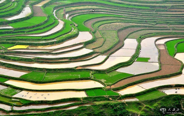 “天国的阶梯”——川南高坎梯田