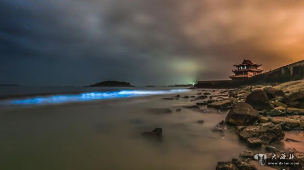 福建频现“蓝眼泪” 海岸线如星空美轮美奂