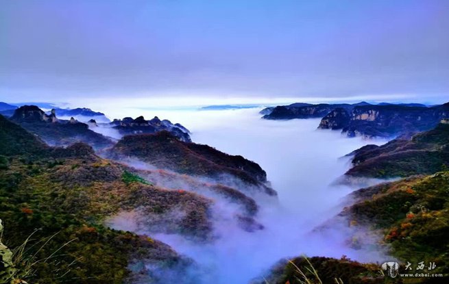 山西王莽岭现“层层山色远 处处云海飘”奇特景观