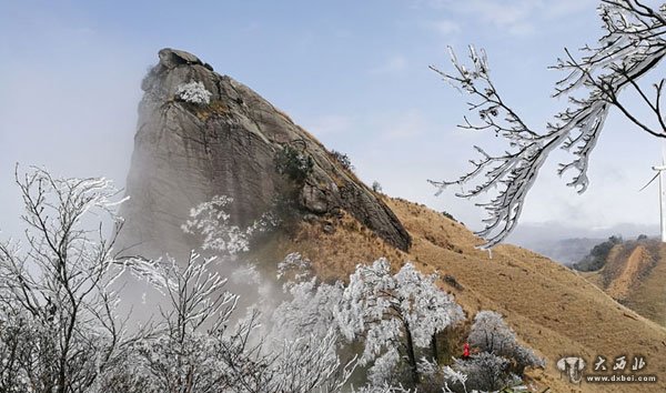 广西龙胜高山现雾淞云海冰挂景观 如梦似幻