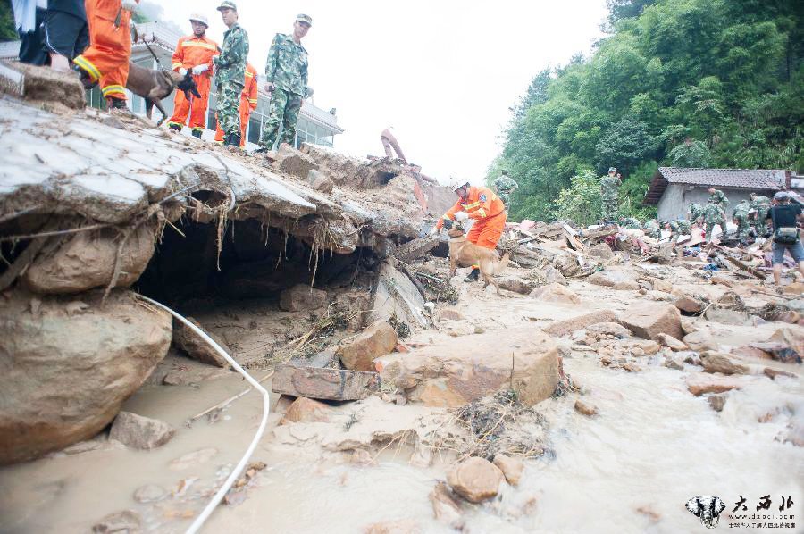 重庆长寿区暴雨致6万人受灾 已转移群众8000多人 