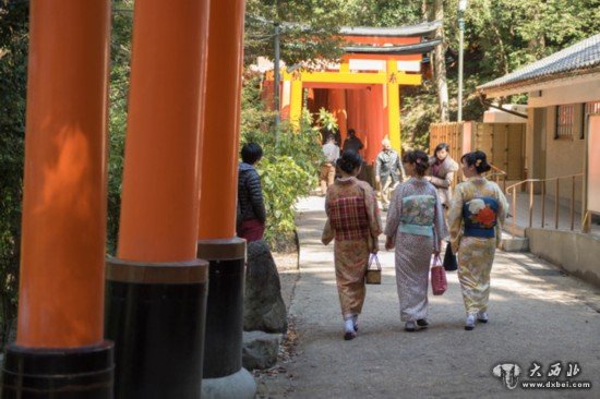 浪漫樱花祭 佳能5D Mark III日本行摄之旅 