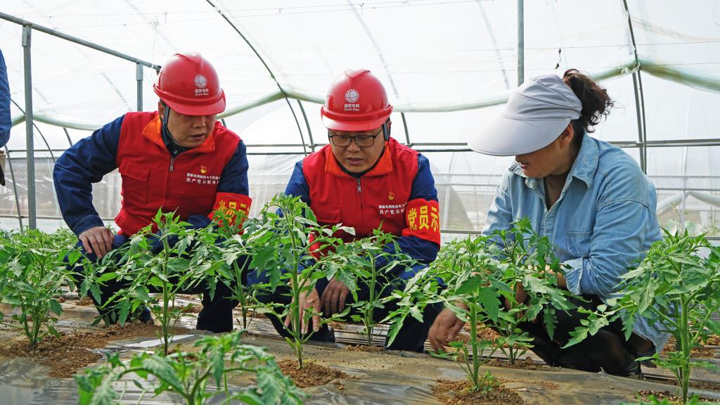 清水汩汩催新苗不误农